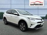 Toyota RAV4 2.0 D-4D 4x2 Edition-S Navi,ACC,LED,Sitzhzg