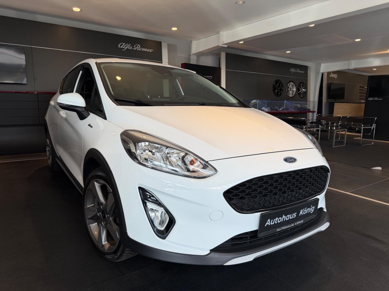 Ford Fiesta Active Navigation Kamera
