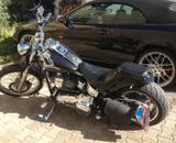 Harley-Davidson Softail FXSTC Custom - HARLEY-DAVIDSON 2008 SOFTAIL