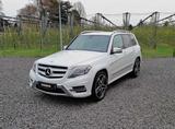 Mercedes-Benz GLK 250 4Matic AMG-Line/XENON/20Z/STANDHEIZUNG - weiße Mercedes-Benz GLK 250