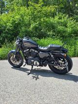 Harley-Davidson Roadster 1200 (XL1200CX)- Top Zustand, 5500km - HARLEY-DAVIDSON ROADSTER