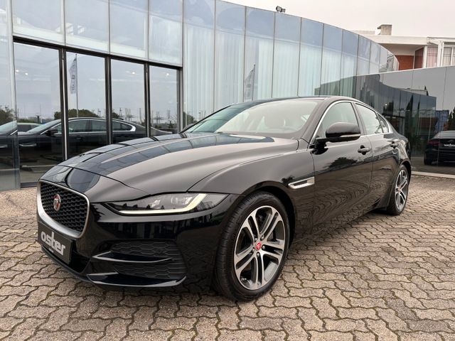 Jaguar XE P250 S|Leder Beige|Winter-Paket|Ambiente