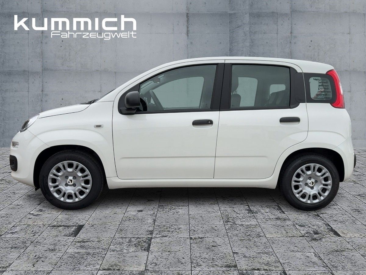 Fiat Panda - Bild 6