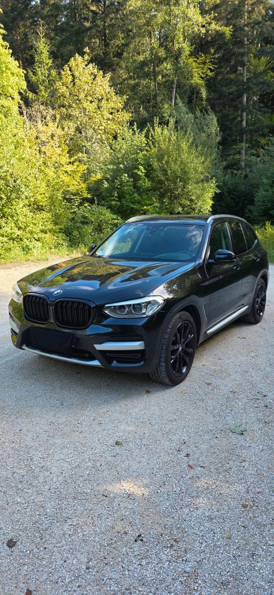 BMW X3 xDrive30i ADVANTAGE AT ADVANTAGE, миниатюра 2