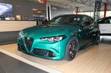 Alfa Romeo Giulia Quadrifoglio SPARCO/CARBON/AKRAPOVIC - Alfa Romeo Giulia Quadrifoglio Sparco Gebrauchtwagen