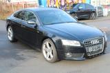 Audi A5 Sportback 2.7 TDI 3*S-Line Navi 6-Zylinder - Audi: Zylinder
