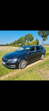 Skoda Octavia 2.0 TDI DSG Style Combi Style - Skoda Octavia Gebrauchtwagen in Augsburg