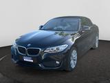 BMW 220 i Advantage Cabrio 8-FACH Navi Leder Soundsy