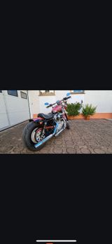 Harley-Davidson XL 883 C Sportster Custombike - HARLEY-DAVIDSON 883 CUSTOM
