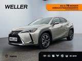 Lexus UX 250h Style Edition *Bi-LED*ACC*CAM*SHZ*CarPla