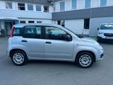 Fiat Panda Easy /Allwetter/Klima/AHK - gebrauchte Fiat Panda aus dem Jahr 2017
