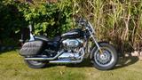 Harley-Davidson Sportster XL 1200 C - Harley-Davidson Motorräder in Lübeck