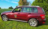 Mercedes-Benz GLK 220 CDI 4MATIC BlueEFFICIENCY - - Mercedes-Benz GLK 220 aus 2010