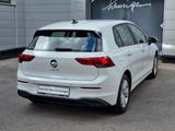 Volkswagen Golf VIII 1.5 TSI Life (EURO 6d) - Volkswagen Golf mit Benzin-Antrieb: 1.6
