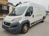 Fiat Ducato III Maxi 2,3, 130 Multijet, L5 H2 TK V300 - Fiat Ducato 130 multijet
