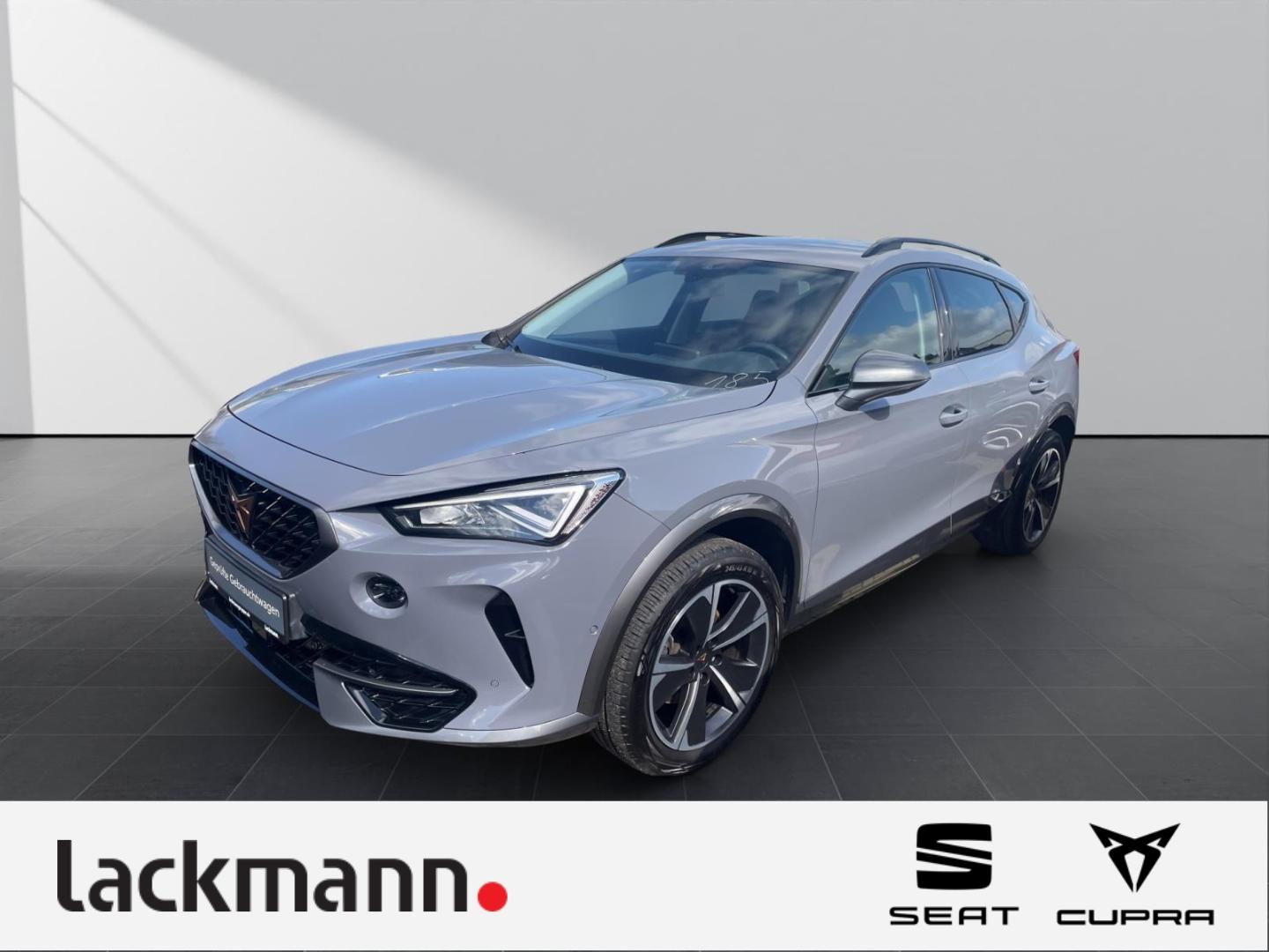 Cupra Formentor 1.5*Navi*eHeck*XL*Winter*Kamera*Kessy*