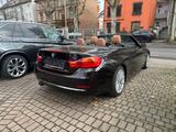 BMW 425 d Cabrio  Luxury Line ACC Head-Up Leder AHK - BMW 4er Reihe: Luxury Line