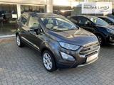 Ford EcoSport Titanium Allwetterreifen AHK LED - gebrauchte Ford EcoSport aus dem Jahr 2023