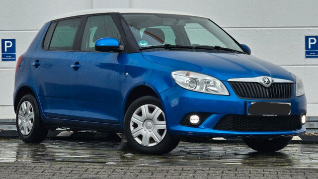 Skoda Fabia Best of Tempomat PDC Klima Shzg