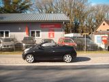 Nissan Micra C+C Premium 1.4 - Nissan Micra: Premium