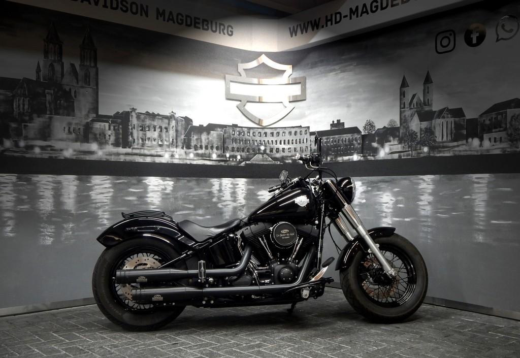 Harley-Davidson FLS SOFTAIL SLIM 
