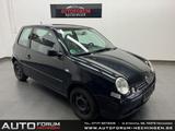 Volkswagen Lupo Comfortline College TÜV JAN 26 - Volkswagen Lupo: Comfortline
