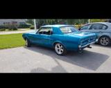 Ford Gesucht Ford Mustang 1964-1968 SUCHE V8 - : Gesucht