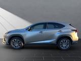 Lexus NX 300 h F-Sport E-Four*1HAND*SCHECKHEFT*PANO* - Lexus: Nx