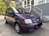Fiat Panda 1.2 8V Dynamic Klima Sondermodel TÜV NEU - Fiat Panda Gebrauchtwagen in München
