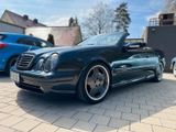 Mercedes-Benz CLK 320/ AMG PAKET/ TOP ZUSTAND/ XENON/Bos... - Mercedes-Benz: Clk AMG Paket