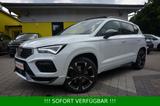 Cupra Ateca 2.0 TSI VZ 300 DSG+5JGAR+PANO+360°+eKLAPPE - Cupra Ateca Tageszulassungen