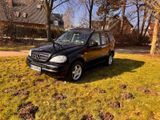 Mercedes-Benz ML 270 CDI AHK,NEU TÜV - Mercedes-Benz 270: Cdi