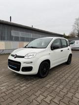Fiat New Panda 1.2 8V POP Ölwechsel & Tüv Neu - Fiat New Panda aus 2016