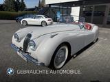 Jaguar XK120 - Jaguar XK: Coupe