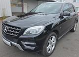 Mercedes-Benz ML 350 CDI BlueTec 4Matic On/Offroad ACC LED - Mercedes-Benz: Offroad