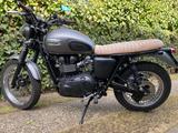 Triumph Scrambler 900 - TRIUMPH 900 SCRAMBLER
