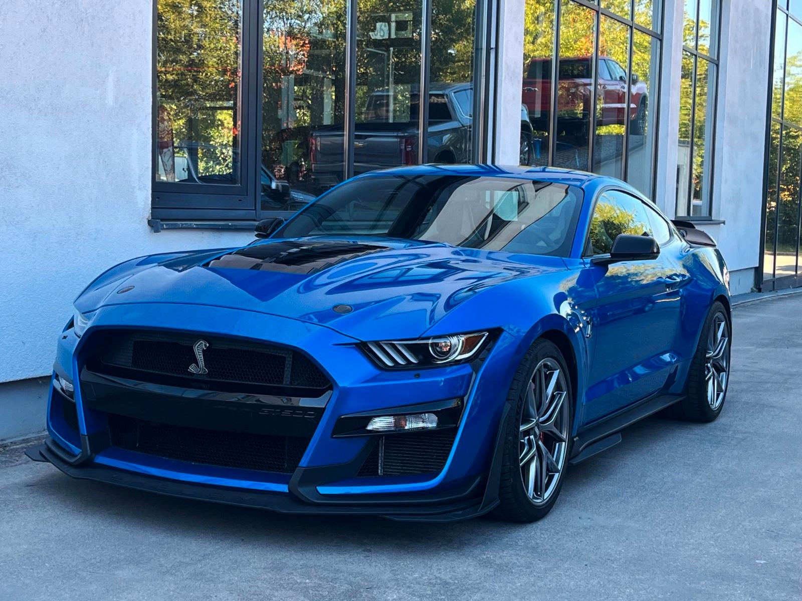 Ford Fastback Shelby GT500 HANDLING Paket 1 Hand