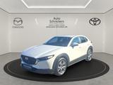 Mazda CX-30 SKYACTIV-G EXCLUSIVE-LINE+KAMERA !! - Mazda CX-30 mit Benzin-Antrieb: Exclusive Line