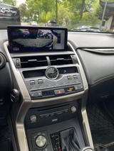Lexus NX 300 300h Executive Line Executive Line - Lexus in Hamburg: Nx