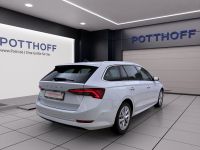 Skoda Octavia - Vorschau Bild 6