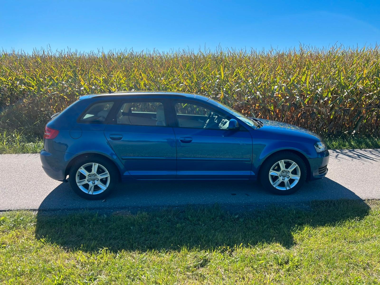 Audi A3 2009 — photo 8
