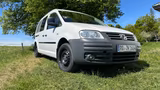 Volkswagen Caddy Maxi Camper Zulassung (Motor mit 97800km) - Volkswagen Caddy Maxi: Von Privat