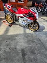 MV Agusta F4 1000 Orginal Werksrenner J.Teuchert - Offers matching your search criteria