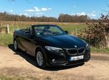 BMW 218i Cabrio , Leder , Klima, SHZ,  8-fach - BMW: 2.8