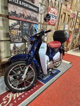 Honda C125AK/Super Cub 125 *TOP ANGEBOT* - KLEINKRAFTRAD 125