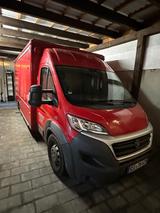 Fiat Ducato Verkaufsfahrzeug / Kofferaufbau - Fiat Ducato Koffer Gebrauchtwagen