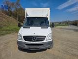 Mercedes-Benz Sprinter 316 CDI, Koffer mit LBW und TÜV