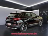 Opel Grandland 1.2 Turbo Elegance LED+NAVI+RFK+AWR - Opel Grandland (X) elegance mit Benzin-Antrieb