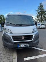 Fiat Ducato Allrounder für Handwerk, Transport & Camp - Offers