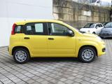 Fiat Pandina PANDA HYBRID POP 1.0 GSE 65PS PDC - Fiat New Panda Tageszulassungen